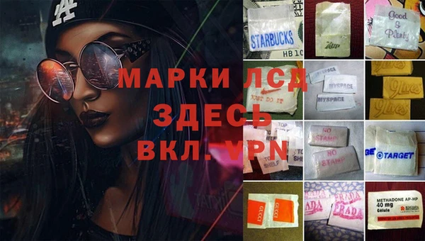 кокс Аркадак