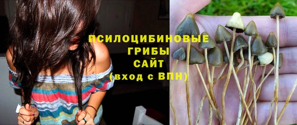 экстази Арсеньев