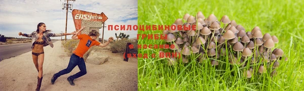 дмт Армянск